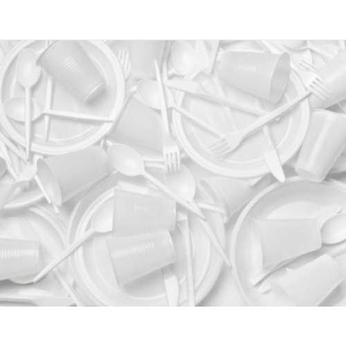 Disposable Tableware